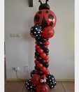 thema ballonpilaar, budel, weert, maarheeze, leende, valkenswaard